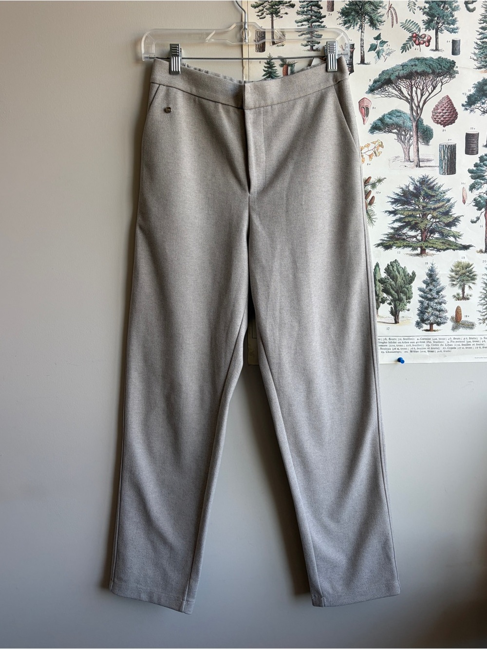Max Mara Studio Grey Trouser 100% Cotton Size 8